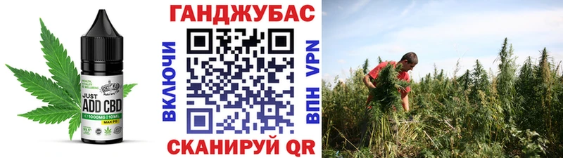 Cannafood конопля  Лосино-Петровский 