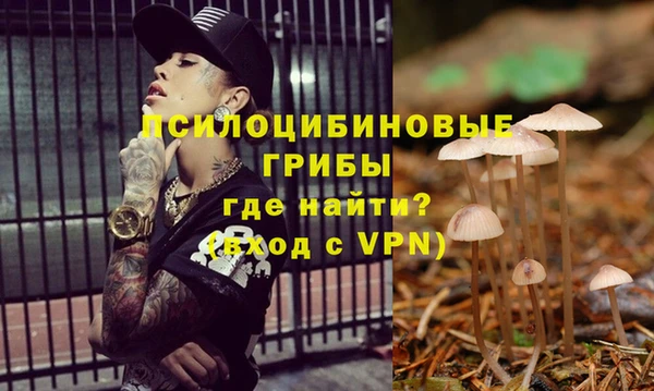 таблы Алексин