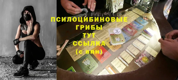 амф Абдулино